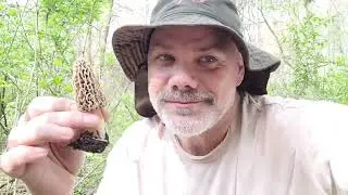 First Morels of 2023 with The Mushroom Hunter