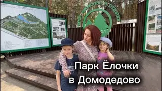 Что интересного в парке «Ёлочки» в Домодедово. Стоит ли сюда приезжать?