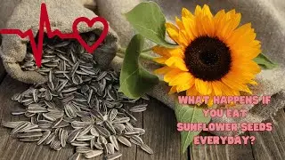 What Happens If You Eat Sunflower Seeds Everyday? #sunflowerseeds