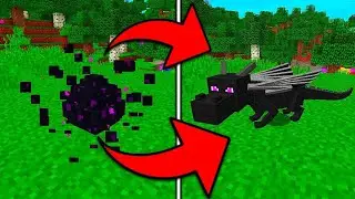 Learn How to hatch Ender Dragon Egg in Minecraft