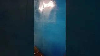 12 декабря 2023 г.