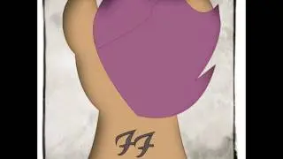 Learn to Fly-MLP FIM-Foo Fighters parody