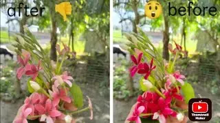 Easy editing with Lightroom😲😳 Lightroom দিয়ে সবচেয়ে সহজ ইডিট🔥 2023