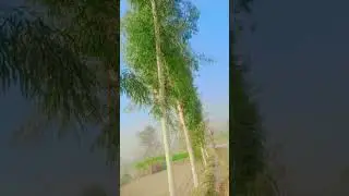 #viral relaxing environment