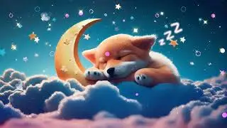 Baby Sleep Music ♫ Lullaby for Babies To Go To Sleep 