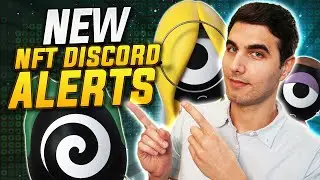 NEW Discord NFT Alerts | Help Find Hot Projects