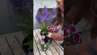 Let's Make a Simple Late Spring Perennial Planter🪴🌷