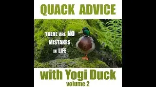 Quack Advice with Yogi Duck: Volume 2