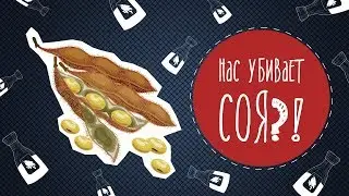 Нас убивает соя?! Малозёмов проверит!