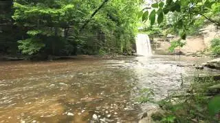 60minutes2relax - Eden's Pool