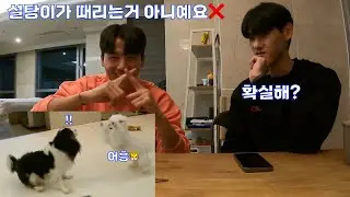 [울산현대 VLOG] 베리네 놀러온 설탕이! 🐶(소리 주의)