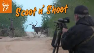 SCOOT n SHOOT!!! | Hunting bucks WIDE OPEN!!! Buck Commander NEW EPISODE