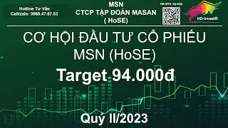 Masan - Định Giá Ông Lớn Ngành Tiêu Dùng | HD-Invest