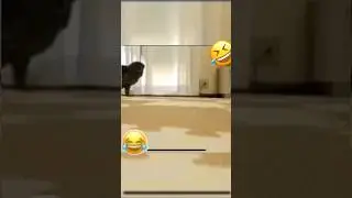 хахаха