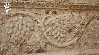 Ağaç ve Üzüm Define İşareti Çözümü
