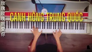 🎵 Piano ‘China Rose’ 玫瑰玫瑰我愛你 (Cánh Hồng Trung Quốc) theo phong cách Mạnh Piano
