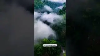 Amazon Jungle|| Wellcome to Amazon Jungle|| #fact #amazingfacts #shahidtv #factsinhindi #automation