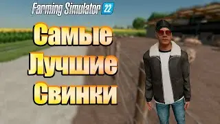 Продажа свиней. Farming simulator 22 #65. КООП.