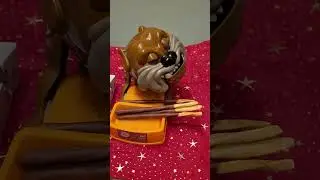 Taking schoko 🍪  sticks von Sondey #ASMR #maddog viral shorts #satisfying sounds (1)
