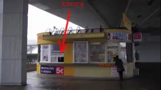 Из Братиславы в Вену на автобусе RegioJet. From Bratislava to Vienna.