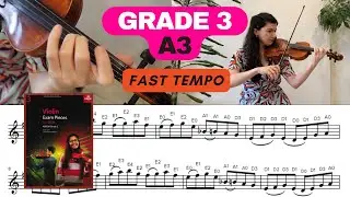 Grade 3 - A3: 