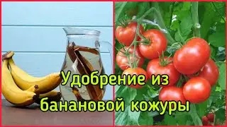 Подкормка для цветов и удобрения для растений из банановой кожуры!