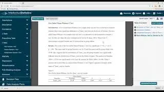 Intellectus Statistics Overview