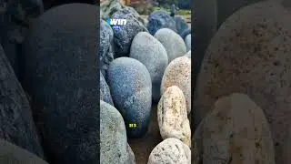 Фанат твердых камней 🤯😱