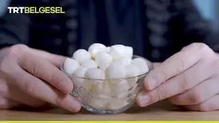 Kültür ve maya nedir? 🧀 🥛