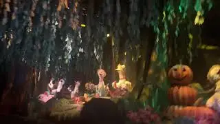 Disneyland Splash Mountain POV 2/25/2023