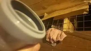 Узв для стерляди . (Лампа для обеззараживания воды )