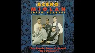 Acero Miolan-Celosa