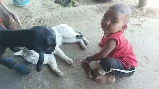प्यारे बच्चे और बिल्लियों की मस्ती//Cute Baby And Cats Masti 🥰 #viral #tranding #shortfeed