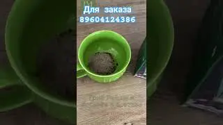 Бомбовый кофе от Велив. хочешь попробовать ,пиши 👉89604124386