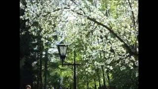 Лениногорск