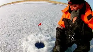 МЫ В ШОКЕ! ДУША ПОЁТ, КОГДА КЛЮЁТ! ВЕСЕННИЙ ЖОР РЫБЫ! ЩУКИ! ОКУНЬ! ПЛОТВА! КУХНЯ ОТ ЮРЫ! ТОБОЛ!