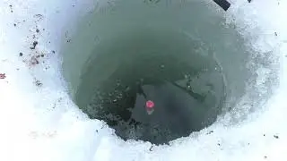 Яуза Пудыши 10 03 24