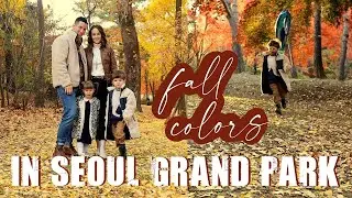 Seoul Grand Park- 단풍 memories
