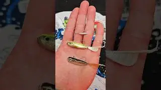 Core Tackle Hover Rig with Tiemco PDL Super Hovering Fish 2.5