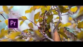 Make your normal video look Cinematic!!