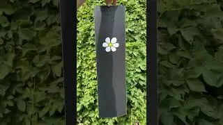 Напиши який принт наждака Union самий крутий #scootertricks #scoot