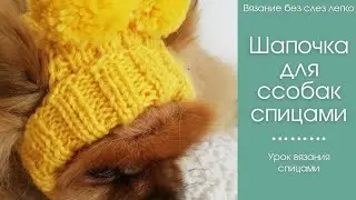 Шапочка для собак спицами. Как связать шапочку для собаки.