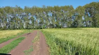 Жизнь в деревне🏡//Хроника дня//