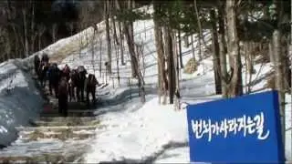 2013 02 23토 오대산 산행(산사모용)