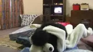 Donkey Kong vs. Bundy Bear
