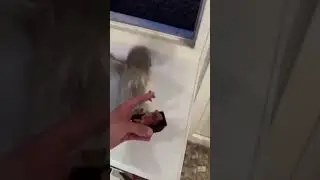 Ты - не ты, когда голоден!) #продвижение #юмор