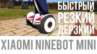 Обзор Xiaomi Ninebot Mini