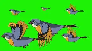 Cartoon Bird Flight  (Green Screen)