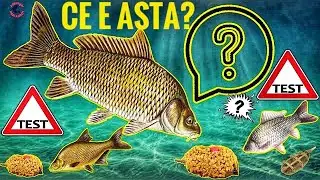 How to FISH METHOD FEEDER WITHOUT WAFTERS