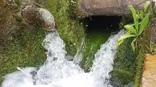 Manantial en Ubrique